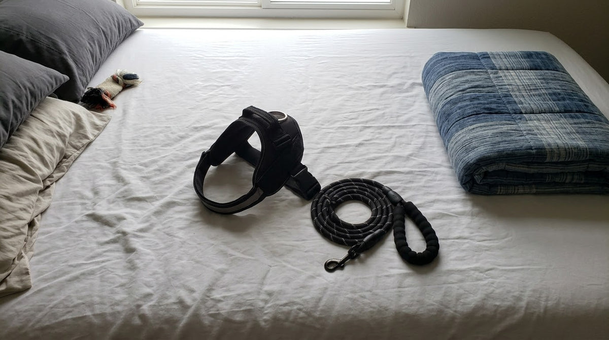 Zampa Serena™ Set Pettorina + Guinzaglio EasyClick — Comfort Anti-Trazione